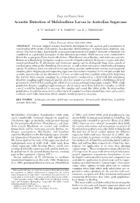 Acoustic Detection of Melolonthine Larvae in Australian Sugarcane