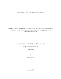 An Ethnographic Thesis on the Individual and Social Factors That Contribute to the Breaking Scenes' Collective Action
