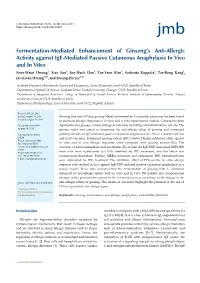 Fermentation-Mediated Enhancement of Ginseng's Anti-Allergic Activity