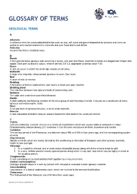 Glossary of Terms