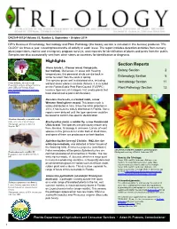 Highlights Section Reports Urena Lobata L