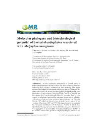 Molecular Phylogeny and Biotechnological Potential of Bacterial Endophytes Associated with Malpighia Emarginata