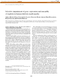 Selective Impairment of Gene Expression and Assembly of Nephrin in Human Diabetic Nephropathy