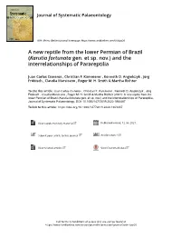 A New Reptile from the Lower Permian of Brazil (Karutia Fortunata Gen