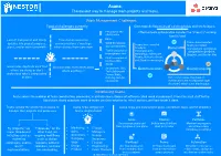 Asana: the Easiest Way to Manage Team Projects and Tasks