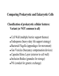 Comparing Prokaryotic and Eukaryotic Cells