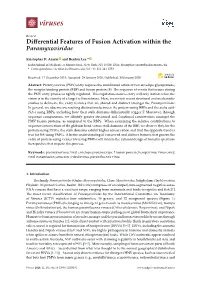 Differential Features of Fusion Activation Within the Paramyxoviridae