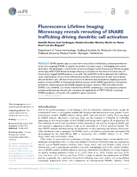 Fluorescence Lifetime Imaging Microscopy Reveals Rerouting Of