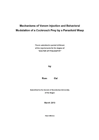 Mechanisms of Venom Injection and Behavioral Modulation of a Cockroach Prey by a Parasitoid Wasp
