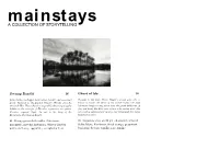 A Collection of Storytelling