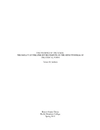 The Framing of the Stage: the Impact of Theater Environments on the Effectiveness of Theatrical Form