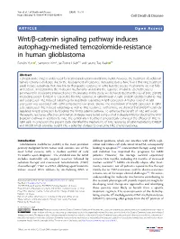 Wnt/Β-Catenin Signaling Pathway Induces Autophagy