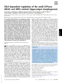 CRL5-Dependent Regulation of the Small Gtpases ARL4C and ARF6 Controls Hippocampal Morphogenesis