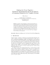 Technical, Organisational and Social Aspects of Language Integration for Complex Systems