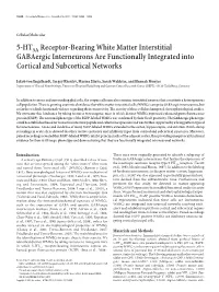 5-HT3A Receptor-Bearing White Matter Interstitial Gabaergic Interneurons Are Functionally Integrated Into Cortical and Subcortical Networks