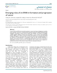 Emerging Roles of Circrna in Formation and Progression of Cancer