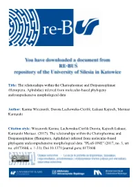 The Relationships Within the Chaitophorinae and Drepanosiphinae (Hemiptera, Aphididae) Inferred from Molecular-Based Phylogeny Andcomprehensive Morphological Data