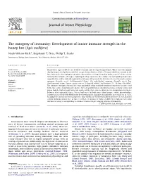 Development of Innate Immune Strength in the Honey Bee (Apis Mellifera)