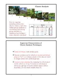 Cluster Analysis
