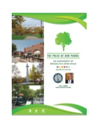 Report Measures the State of Parks in Brooklyn