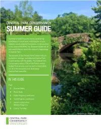 Summer Guide