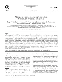 Changes in Cerebral Morphology Consequent to Peripheral Autonomic Denervation