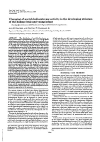 Clumping of Acetylcholinesterase Activity in the Developing Striatum Of