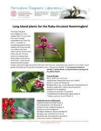 Long Island Plants for the Ruby-Throated Hummingbird