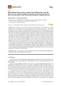 Microbial Interaction with Clay Minerals and Its Environmental and Biotechnological Implications