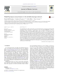Modelling Faecal Contamination in the Scheldt Drainage Network