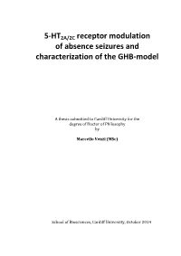 5-HT2A/2C Receptor Modulation of Absence Seizures and Characterization of the GHB-Model