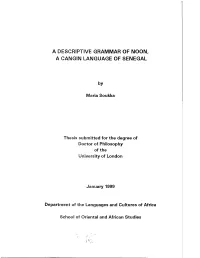 A Descriptive Grammar of Noon, a Cangin Language of Senegal