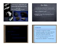 But First... Asteroids and Meteorites Astro 202 a Few Words About Referencing in Science Writing