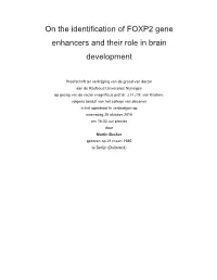 On the Identification of FOXP2 Gene Enhancers and Their Role in Brain Development