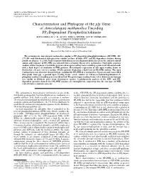 Characterization and Phylogeny of the Pfp Gene of Amycolatopsis Methanolica Encoding