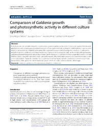 Comparison of Galdieria Growth and Photosynthetic