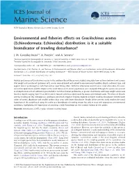 Gracilechinus Acutus (Echinodermata: Echinoidea) Distribution: Is It a Suitable Bioindicator of Trawling Disturbance?