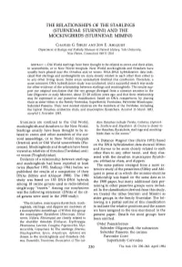 The Relationships of the Starlings (Sturnidae: Sturnini) and the Mockingbirds (Sturnidae: Mimini)