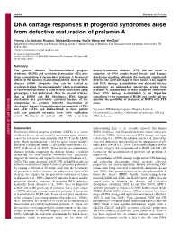 DNA Damage Responses in Progeroid Syndromes Arise from Defective Maturation of Prelamin A