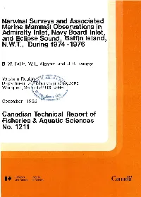Narwhal Surveys and Associated Marine Mammal Observations in Admiralty Inlet, Nav~ Board Inle!; .And Eclipse Sound, Baffin Islana