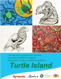 Turtle Island Education Guide