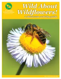 Wild About Wildflowers! a Classroom Activity Guide