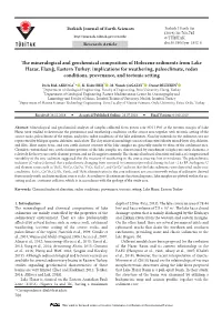 The Mineralogical and Geochemical Composition of Holocene Sediments