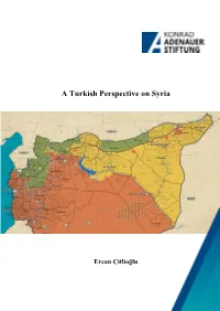 A Turkish Perspective on Syria