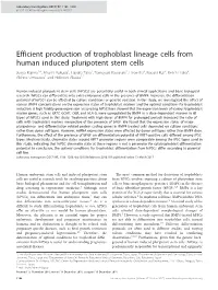 Efficient Production of Trophoblast Lineage Cells from Human Induced