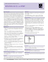 NDUFAF6 (K-13): Sc-87001