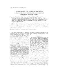 Descriptions and Notes on the Genus Paradossenus in the Neotropical Region (Araneae, Trechaleidae)