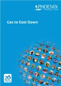 Gas to East Down Project