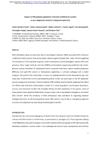 Impacts of Mycoplasma Agalactiae Restriction-Modification Systems on Pan-Epigenome Dynamics and Genome Plasticity