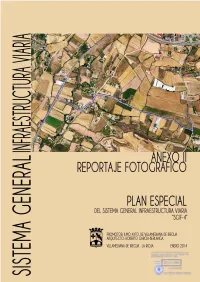 ANEXO II.Pdf